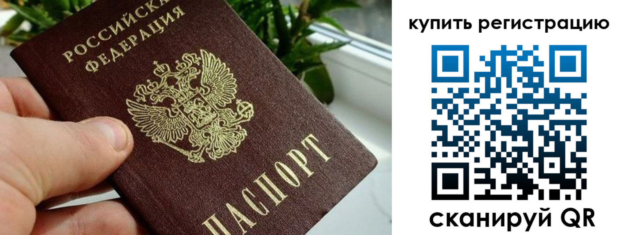 прописка гарантия в Пермском крае